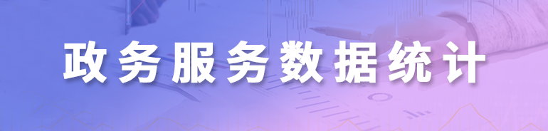 政務服務數據統計